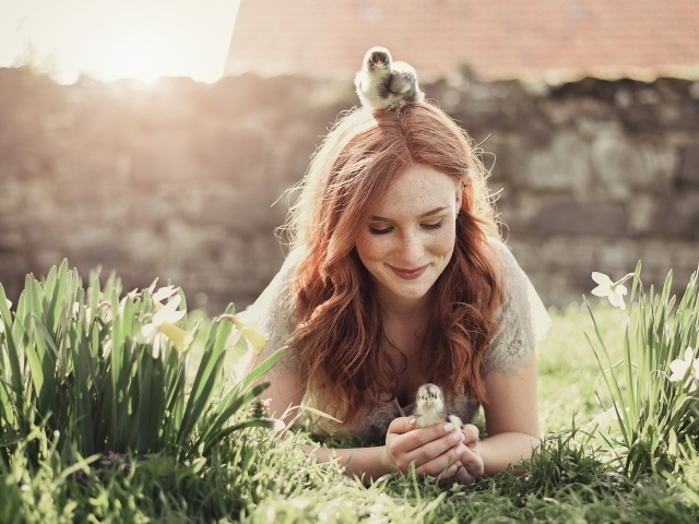 Красивая рыжеволосая девушка с маленькими цыплятами  