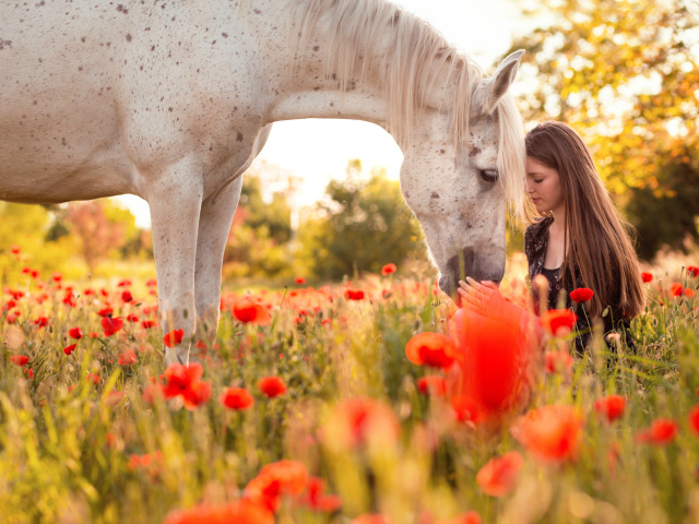 Красивая молодая девушка с лошадью на поле покрытом красными маками