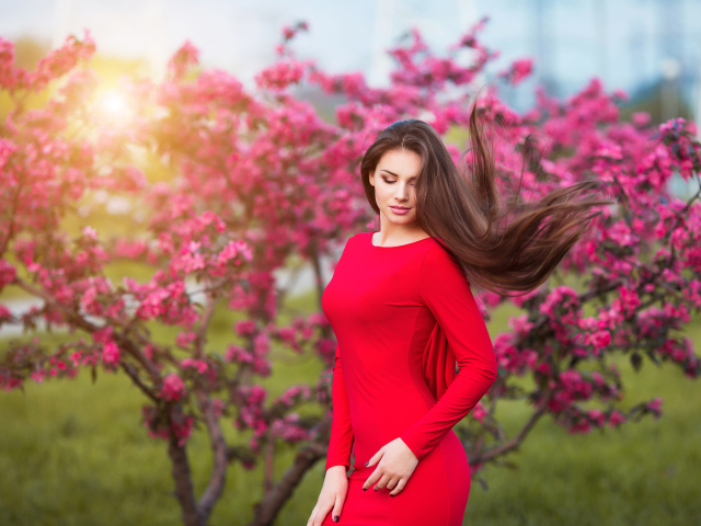 Милая шатенка в красном платье на фоне цветущего дерева