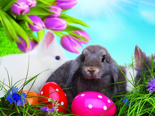 Разноцветные яйца и пасхальные кролики 