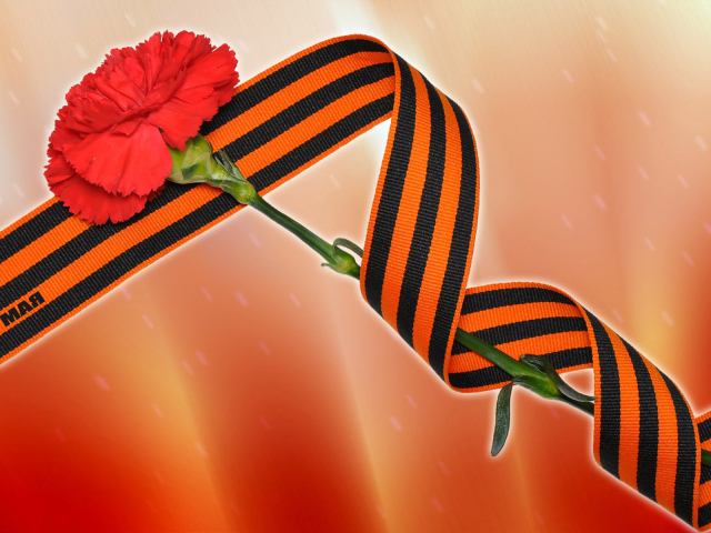 Красная гвоздика и георгиевская лента на 9 мая 