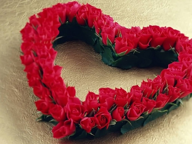 Большое сердце из красных роз 