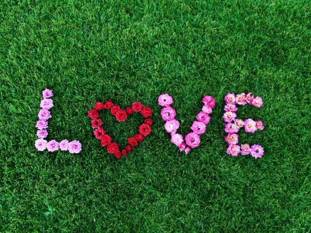 Надпись Любовь выложена из роз на зеленой траве