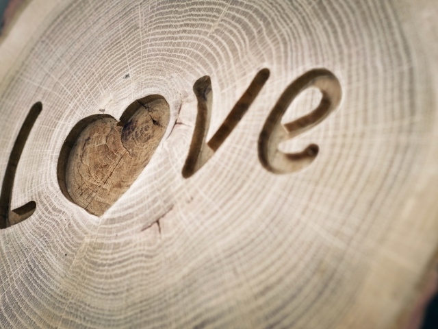 Надпись LOVE вырезана на дереве