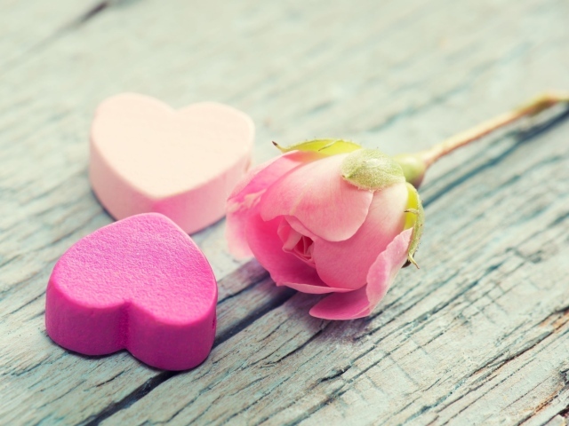 Два розовых сердца и розовая роза лежат на деревянной поверхности
