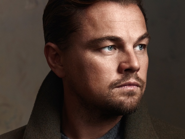 Красивый актер Леонардо Ди Каприо 