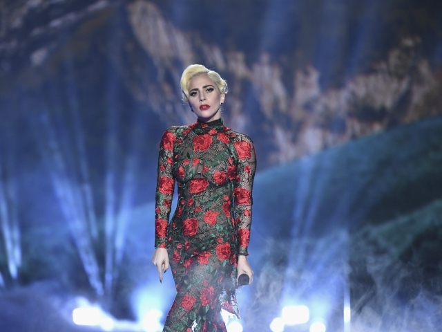 Популярная певица Леди Гага в красивом платье на сцене