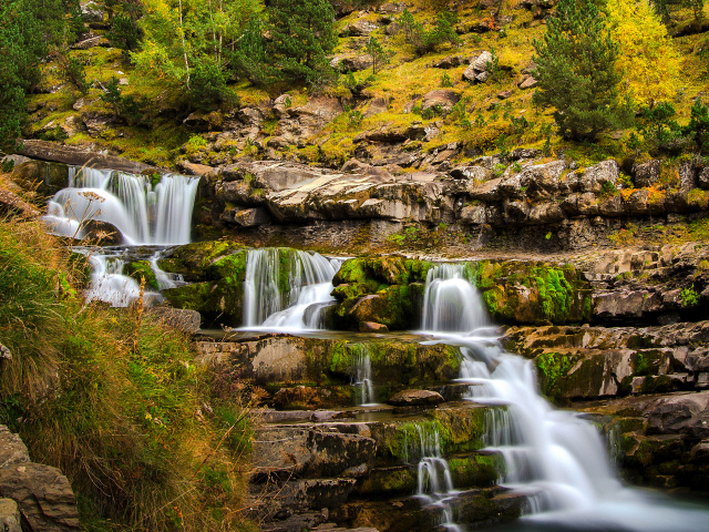 Быстрый ручей стекает по скале в осеннем лесу