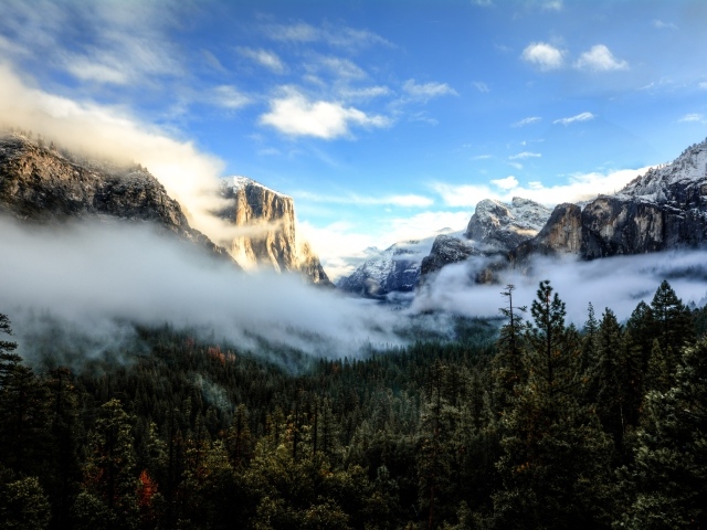Белый туман покрыл вершины деревьев на фоне гор