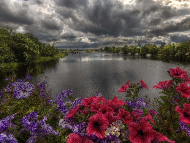 Пасмурные облака над озером с цветами на берегу 