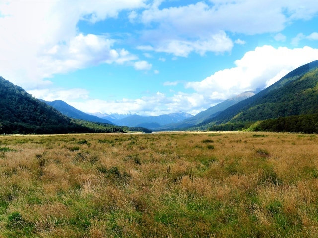 Зеленые природные просторы Новой Зеландии 