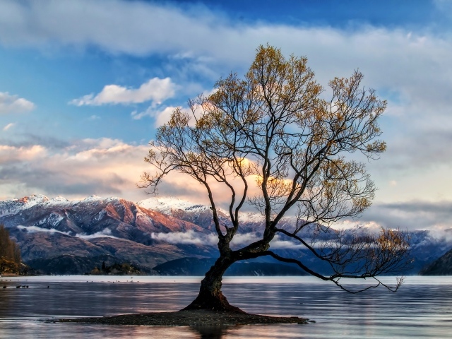 Островок с деревом в озере на фоне гор