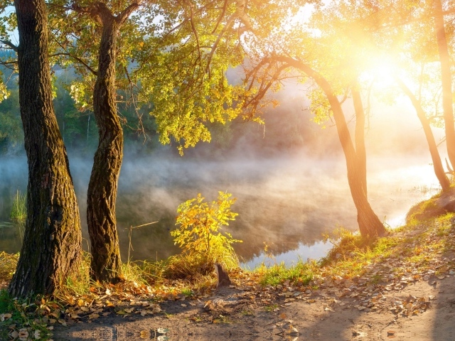 Утренний туман над рекой в лучах солнца осенью