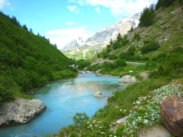 Горная река меж зеленых берегов 