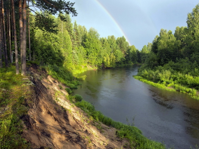 Радуга над рекой в зеленом лесу 