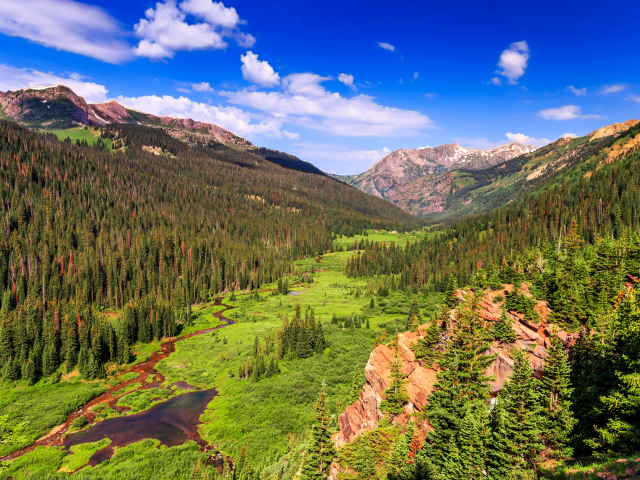 Живописный природный пейзаж под голубым небом 