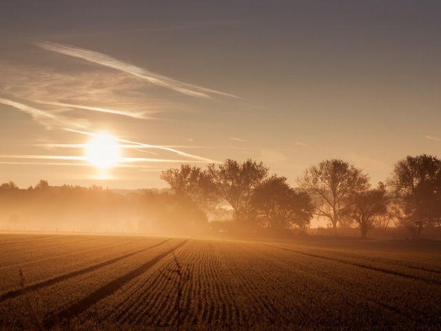 Восход солнца и туман над полем 