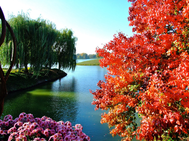 Деревья и цветы у озера в парке 