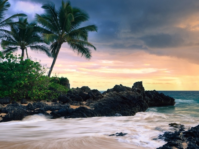 Красивый зеленый пляж 