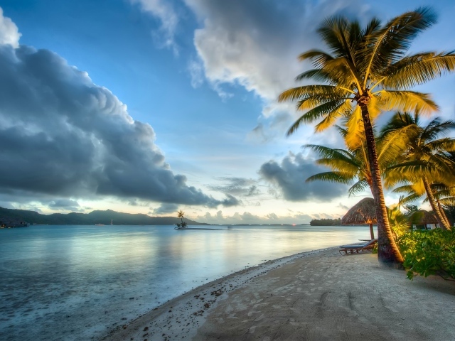 Пальмы под красивым небом у океана на побережье Бора-Бора
