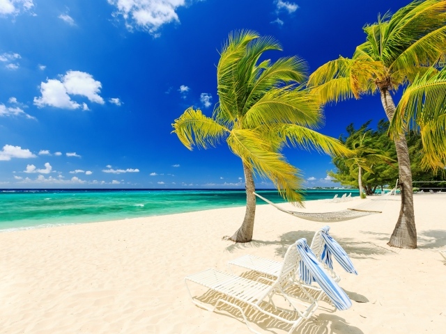 Лежаки и пальмы у моря на пляже с белым песком