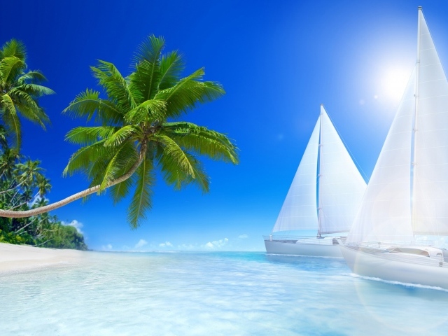 Белые парусники под солнцем у пляжа 