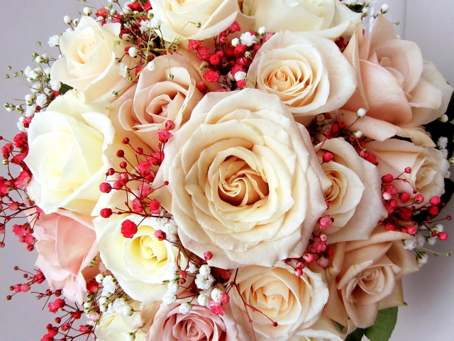 Красивый букет нежных роз кремового цвета 