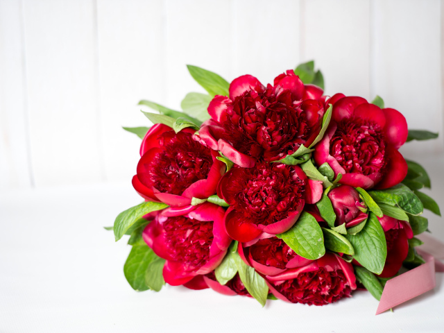 Красивый большой букет бордовых пионов