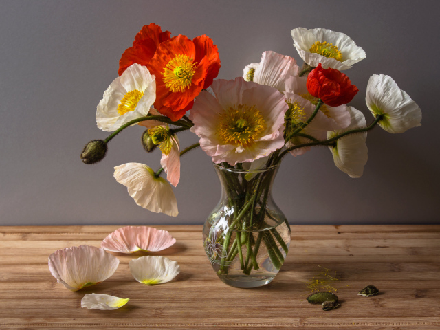 Букет крупных красивых маков в прозрачной вазе