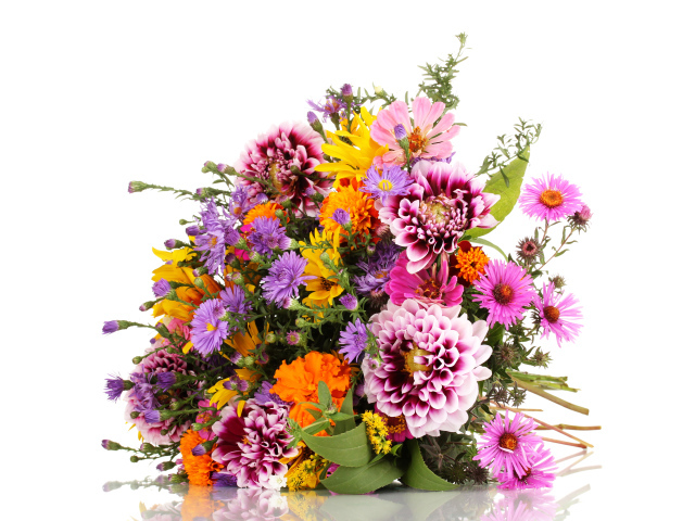 Красивый большой букет осенних цветов на белом фоне