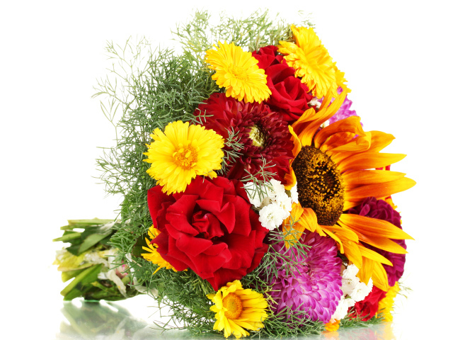 Красивый букет из роз, георгин и подсолнухов на белом фоне