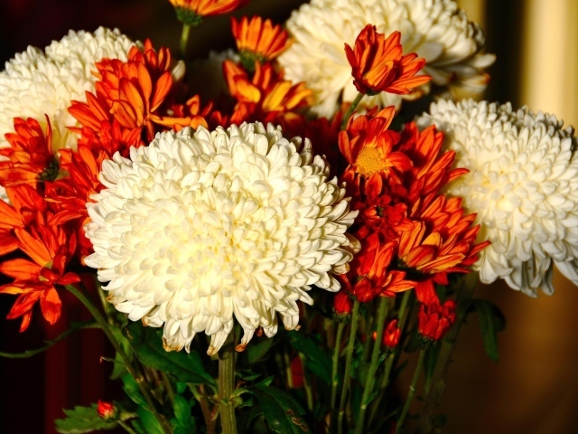 Красивый букет белых и оранжевый хризантем
