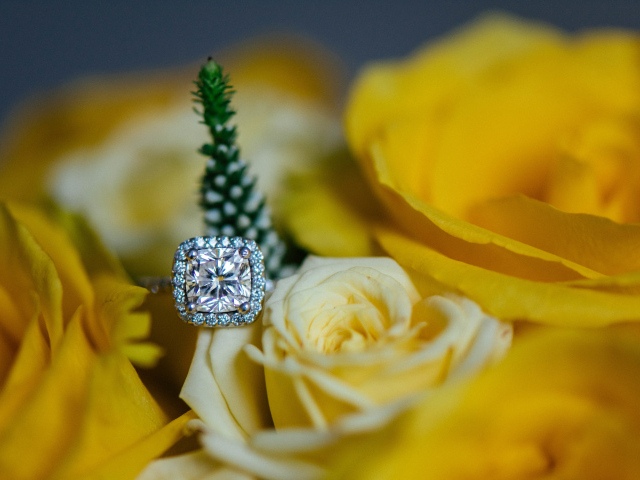 Красивые желтые розы и дорогое кольцо с бриллиантом крупным планом