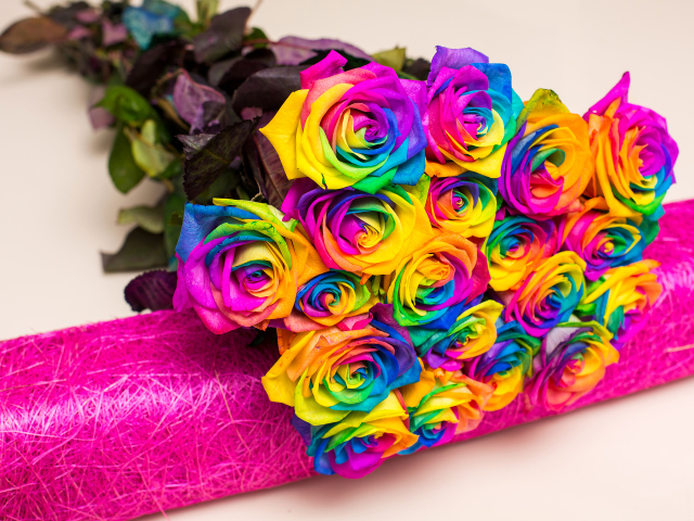 Букет разноцветных ярких роз на сером фоне