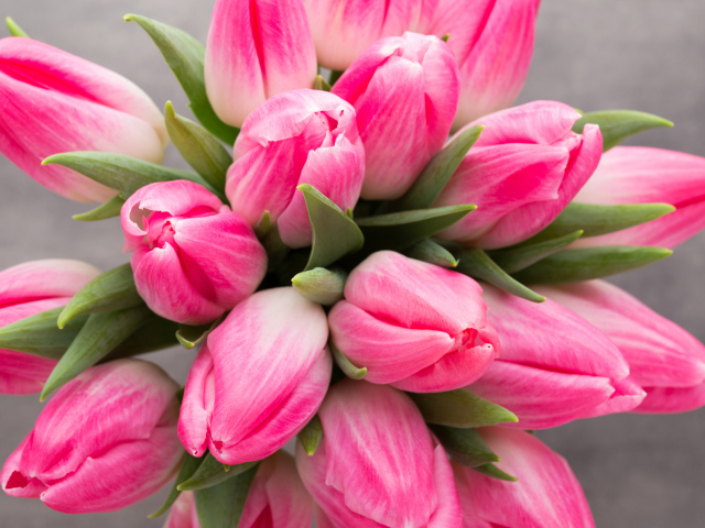 Букет нежных розовых тюльпанов 