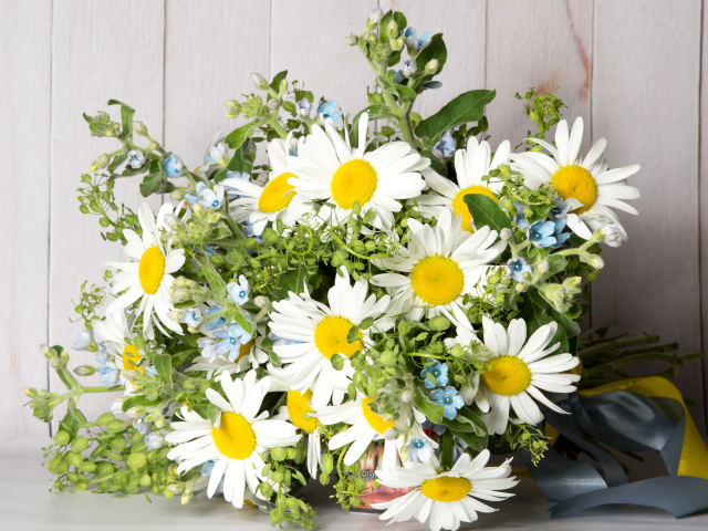 Букет полевых ромашек перевязанный лентой