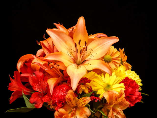 Букет разноцветных лилий на черном фоне 