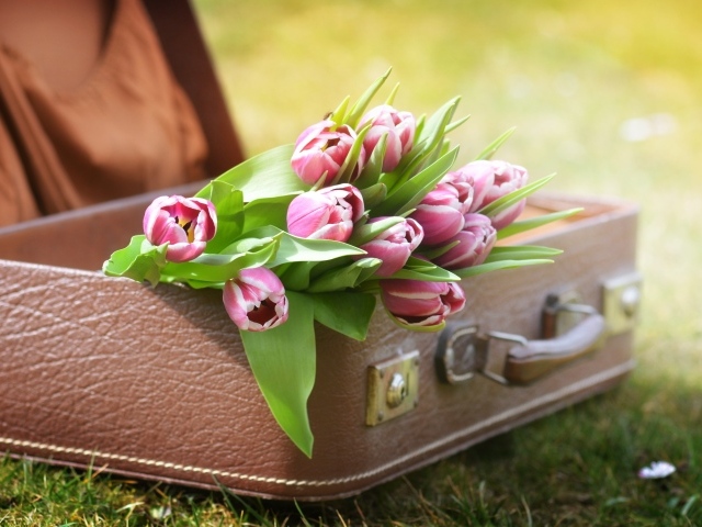 Букет розовых тюльпанов в кожаном чемодане