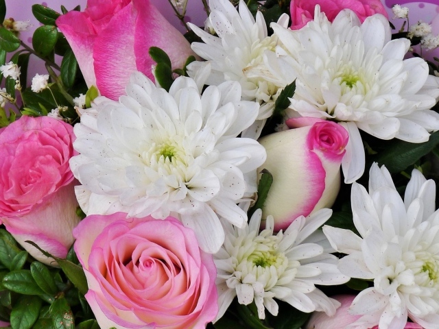 Букет белых хризантем с розовыми розами
