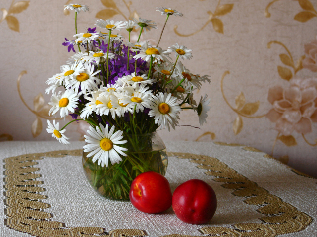 Букет белых полевых ромашек в вазе на столе с розовыми персиками