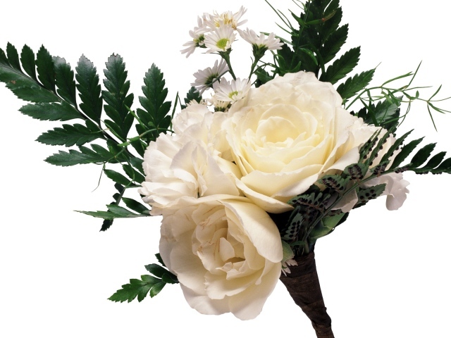 Букет из белых роз с ромашками и большими зелеными листьями на белом фоне