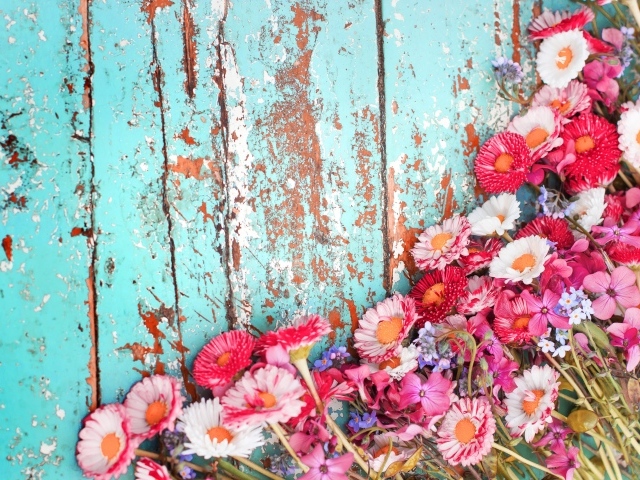 Маргаритки и флоксы на старой деревянной поверхности