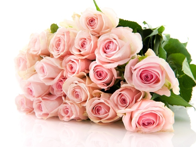 Нежный букет красивых розовых роз на белом фоне