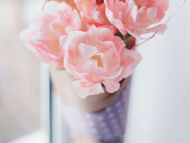 Нежные розовые цветы тюльпаны 