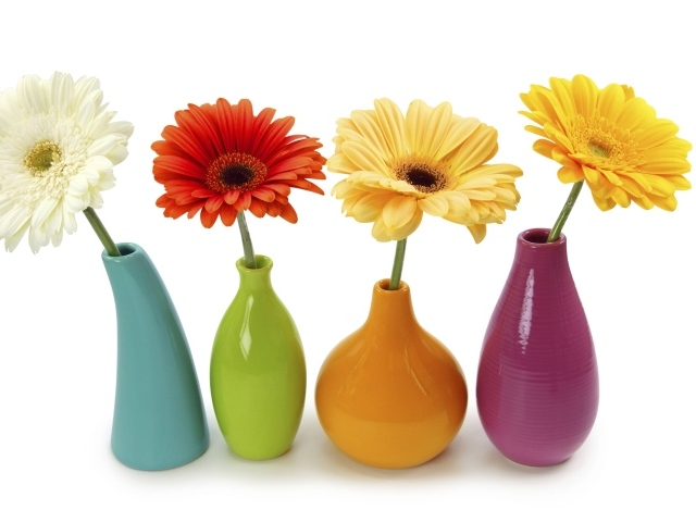 Разноцветные герберы в вазах на белом фоне 