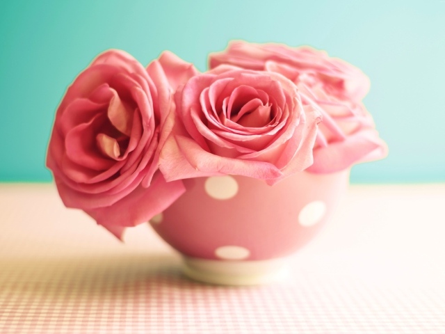 Три розовые розы в вазе на голубом фоне