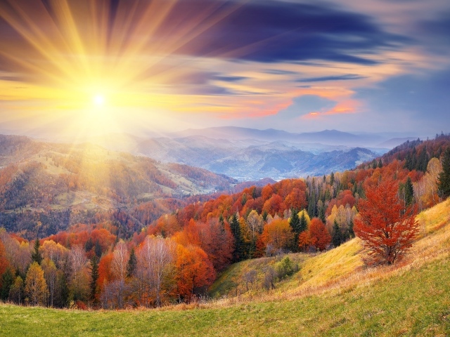 Осенний лес в лучах яркого солнца на рассвете на фоне гор
