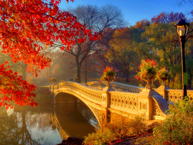 Мост над рекой в красивом осеннем лесу с покрытыми  золотыми листьями деревьями