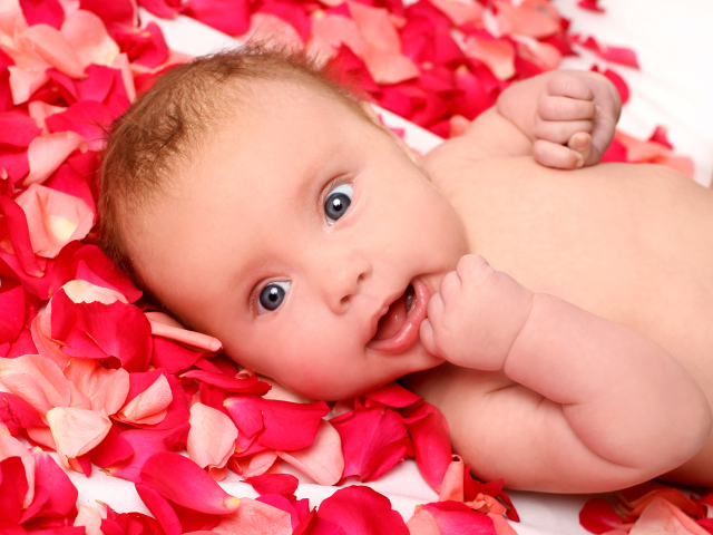 Грудной ребенок лежит на лепестках красной розы