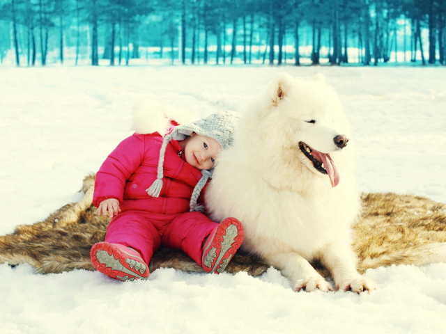 Маленькая девочка сидит на снегу с большой Самоедской собакой